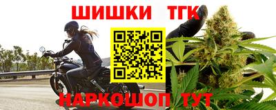 шишки Изобильный