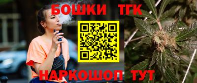 шишки Изобильный