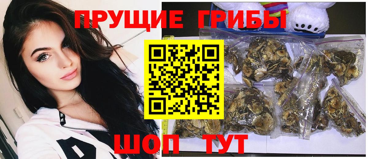 Псилоцибиновые грибы Psilocybe  Вход с VPN  Галлюциногенные грибы мицелий  Мелеуз 