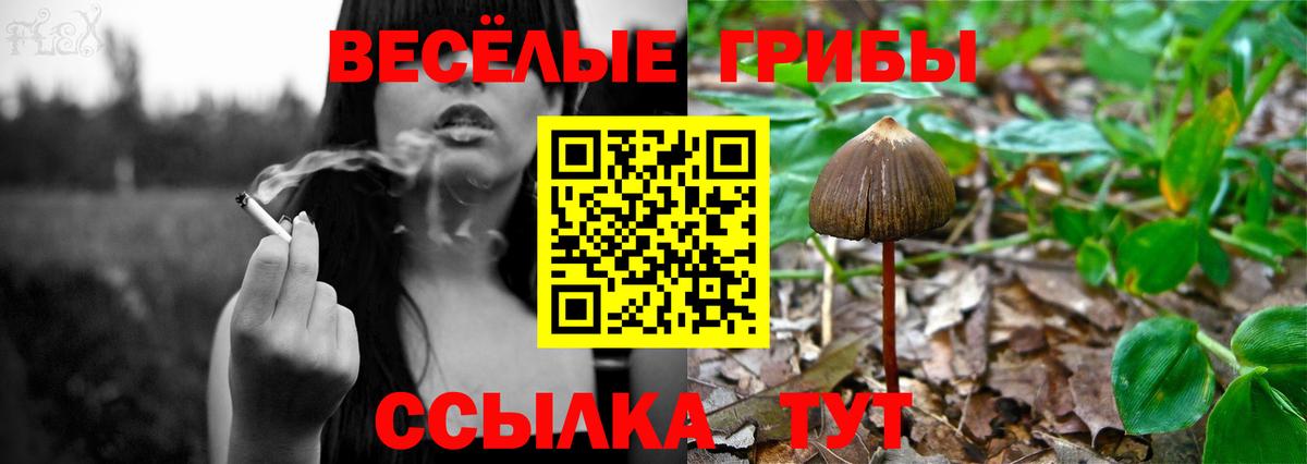 Галлюциногенные грибы ЛСД Мелеуз